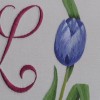 album2 tulipani a punto raso