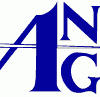 logo0000 logo american needlepoint guild