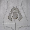 Iris - dettaglio Iris - dettaglio